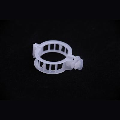 Tomato Clips