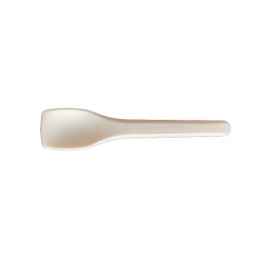 Disposable Icecream Spoon